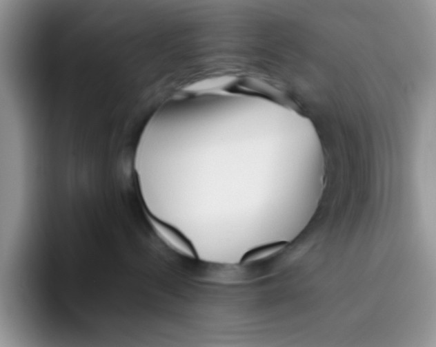 X0000095910288200802081059