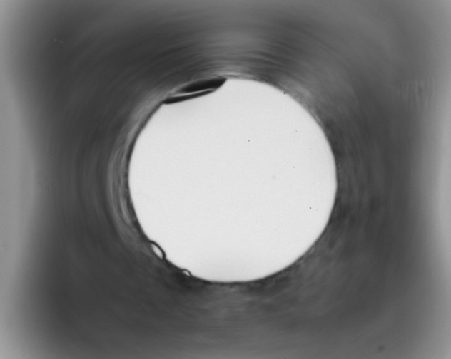 X0000095910289200802081058