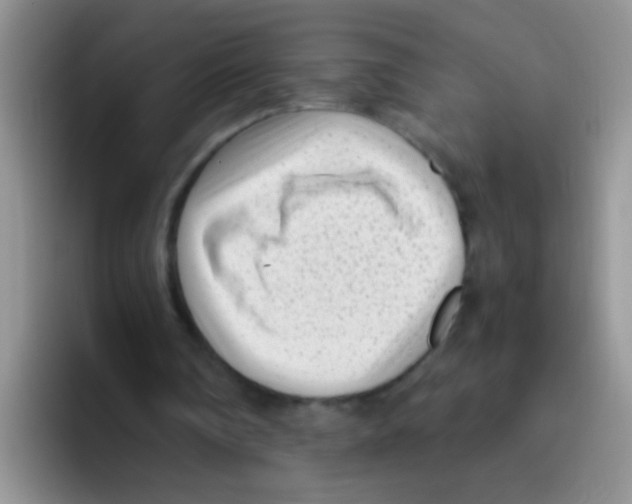 X0000095910290200802081058