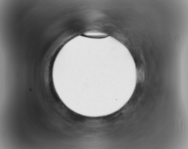 X0000095910291200802081058