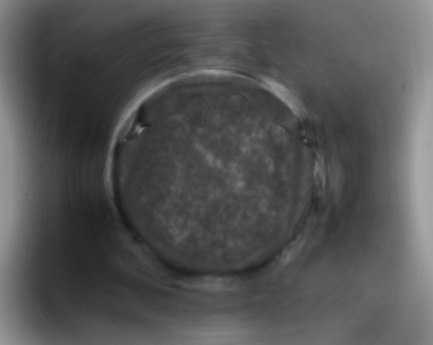 X0000095910292200802081058