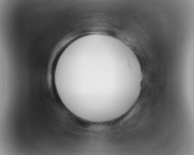 X0000095910294200802081058