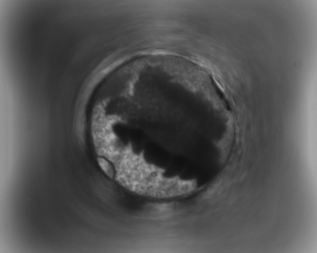 X0000095910295200802081058