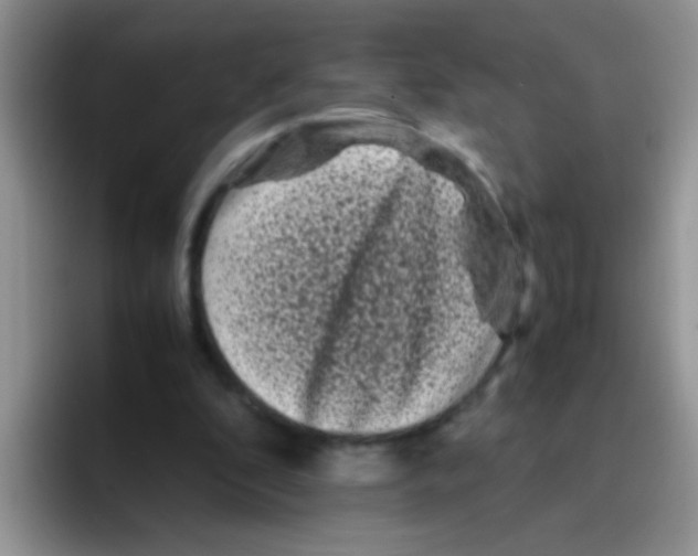 X0000095910296200802081058