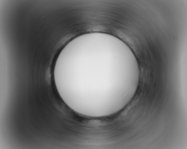 X0000095910298200802081058