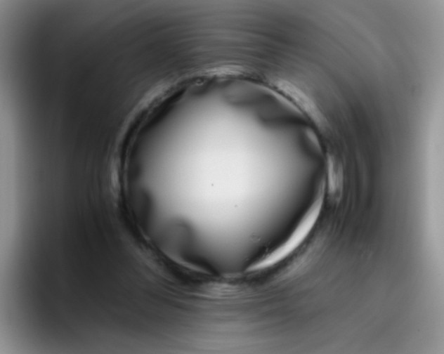 X0000095910300200802081058