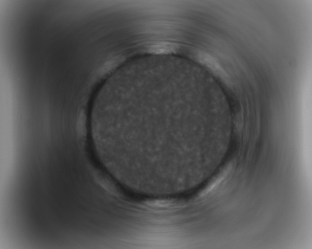 X0000095910303200802081058