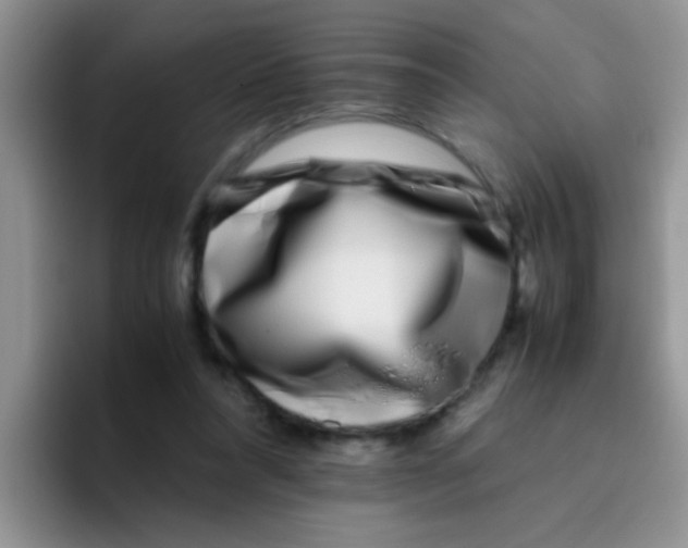 X0000095910304200802081058