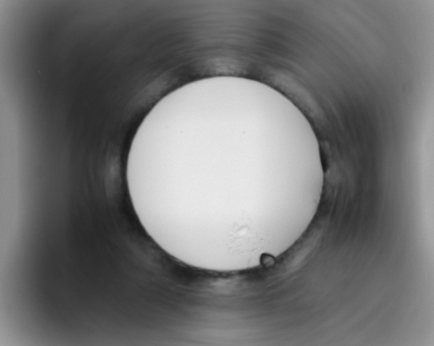 X0000095910306200802081058