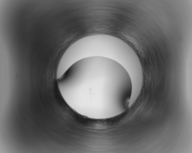 X0000095910308200802081058