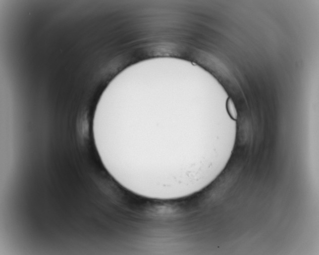 X0000095910310200802081058