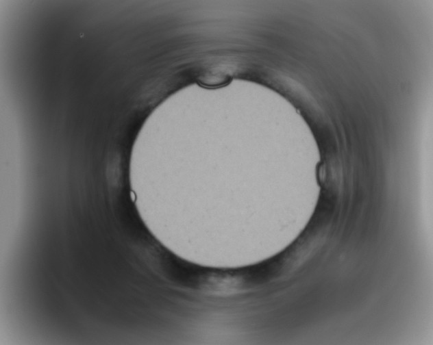 X0000095910311200802081058