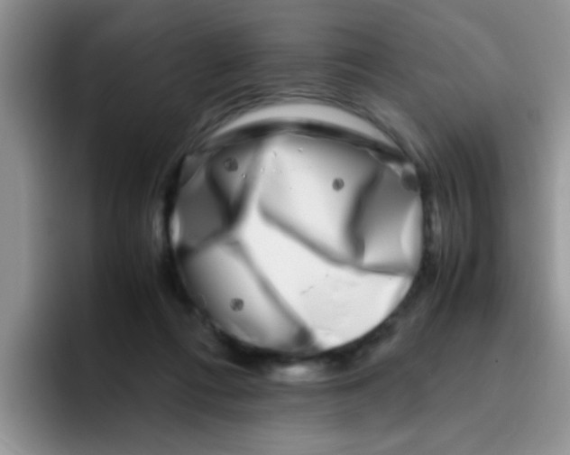 X0000095910312200802081058