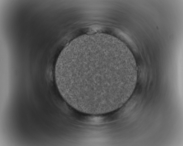 X0000095910313200802081058