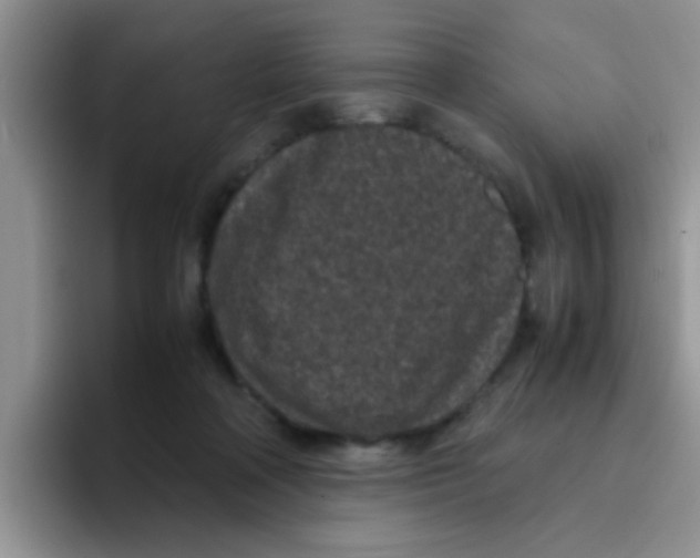 X0000095910314200802081058