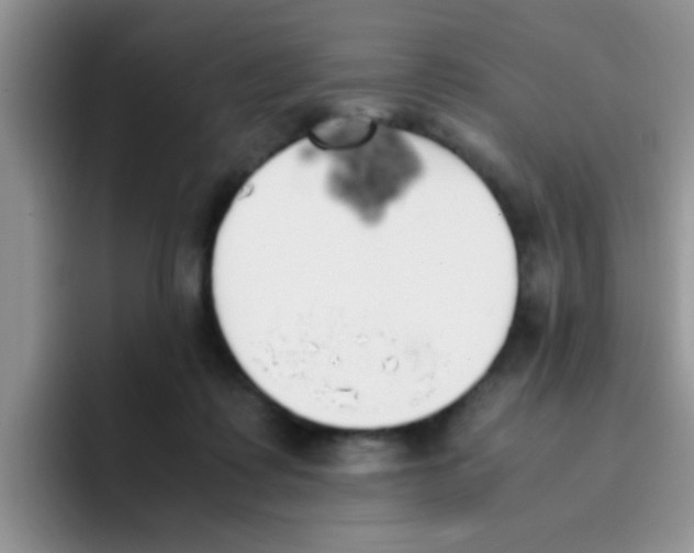 X0000095910315200802081058