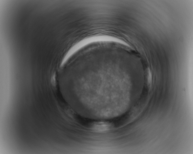 X0000095910316200802081058