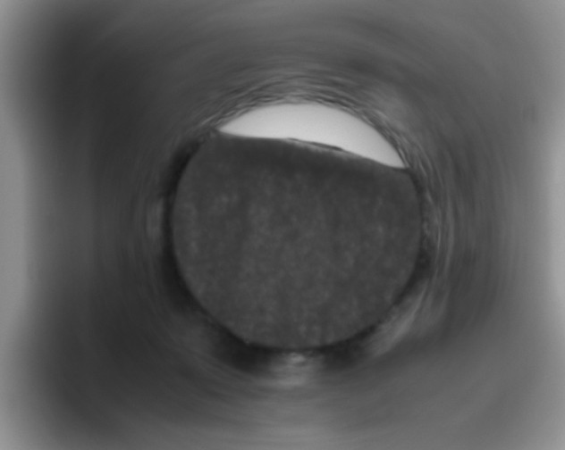 X0000095910319200802081058