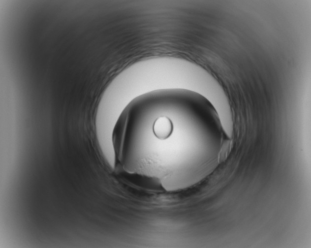 X0000095910320200802081058