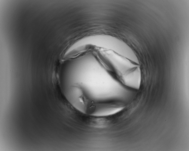 X0000095910324200802081058