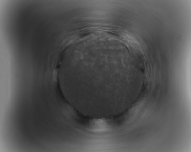 X0000095910325200802081058