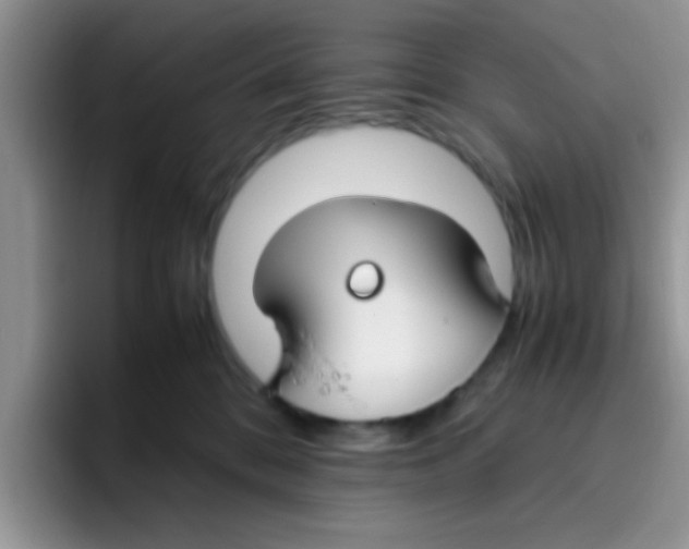 X0000095910328200802081058