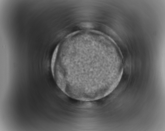 X0000095910330200802081058