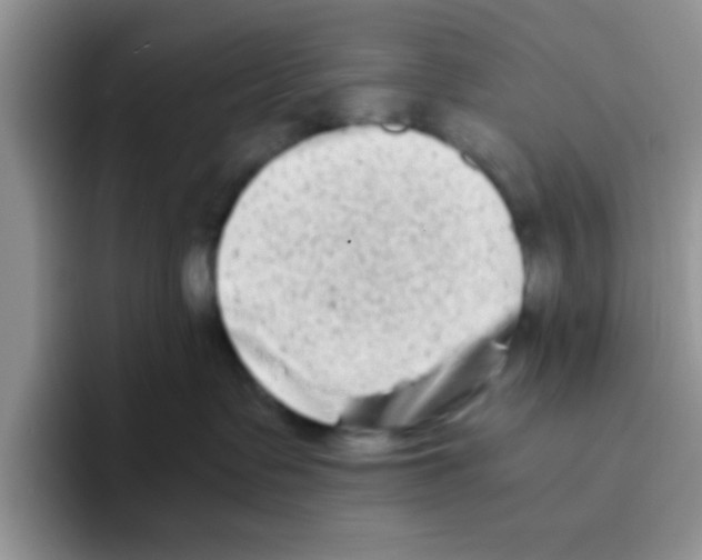 X0000095910335200802081058