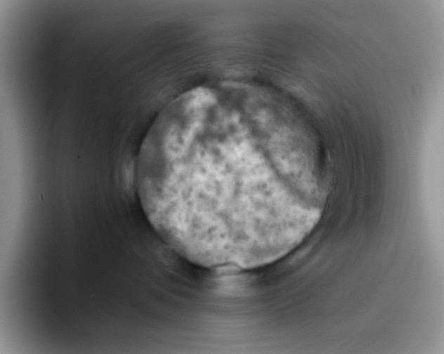 X0000095910336200802081058