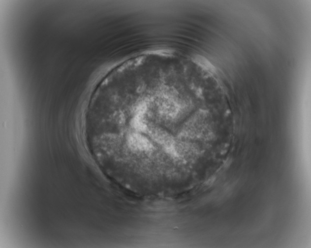 X0000095910337200802081057