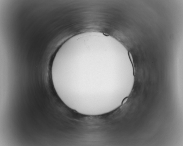 X0000095910338200802081057