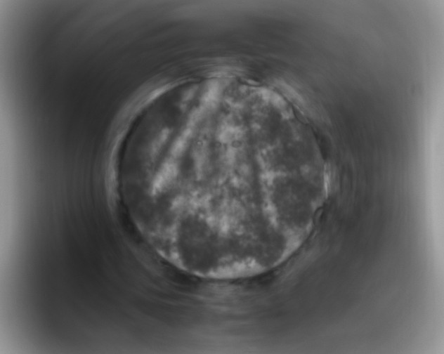 X0000095910339200802081057