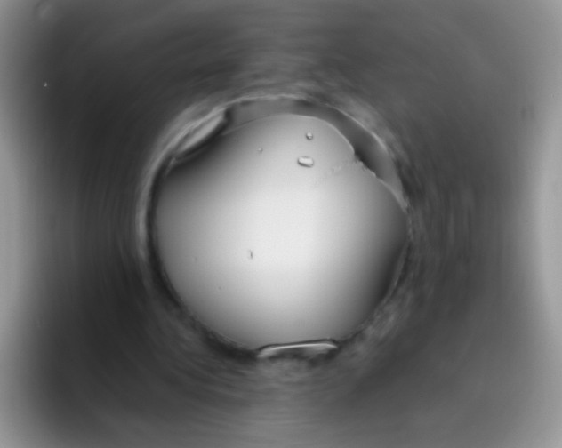 X0000095910340200802081057