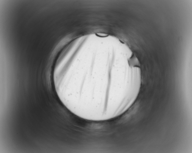 X0000095910341200802081057