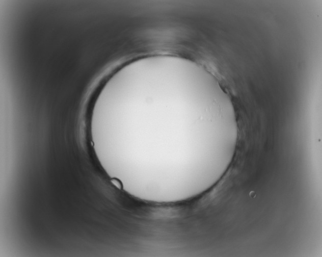 X0000095910342200802081057