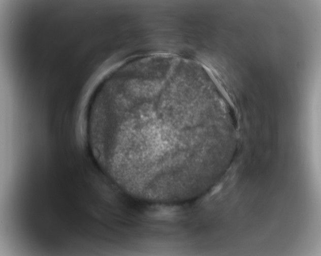 X0000095910343200802081057