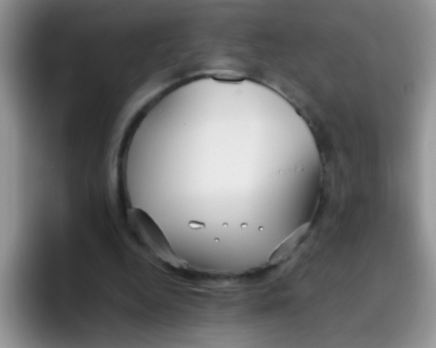 X0000095910344200802081057