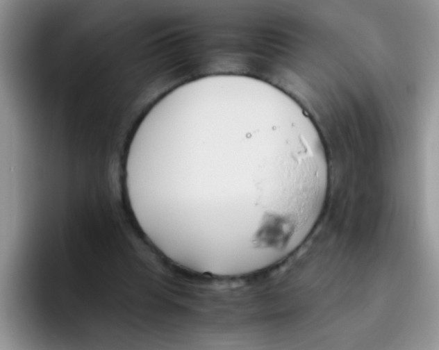 X0000095910345200802081057