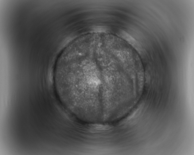 X0000095910347200802081057