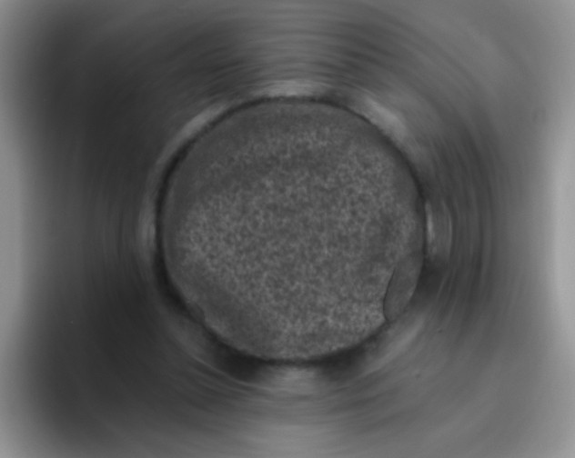 X0000095910348200802081057