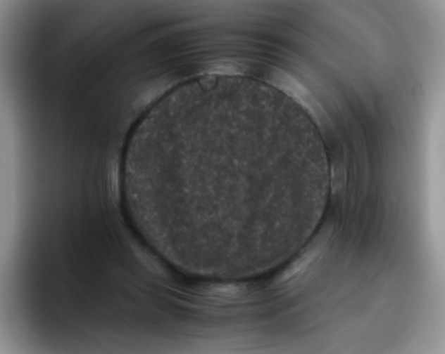 X0000095910349200802081057