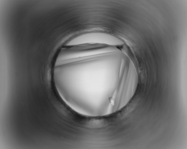 X0000095910350200802081057