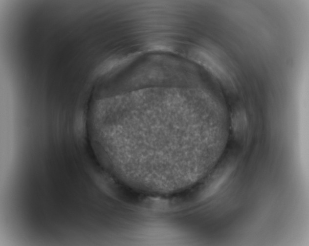 X0000095910352200802081057