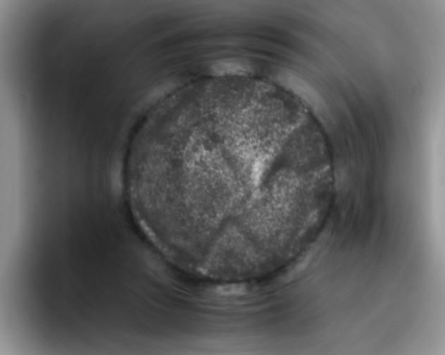 X0000095910353200802081057