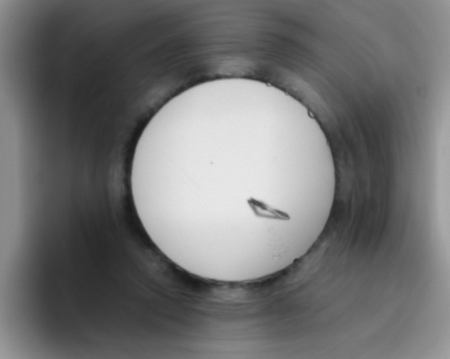 X0000095910354200802081057