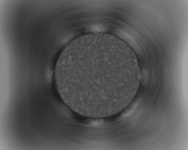 X0000095910355200802081057