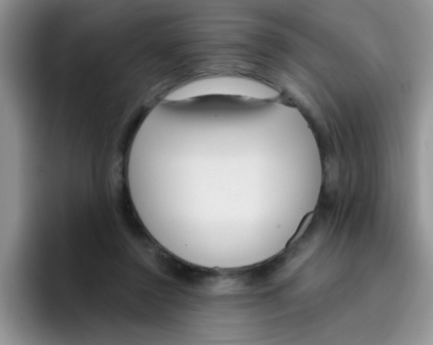 X0000095910356200802081057