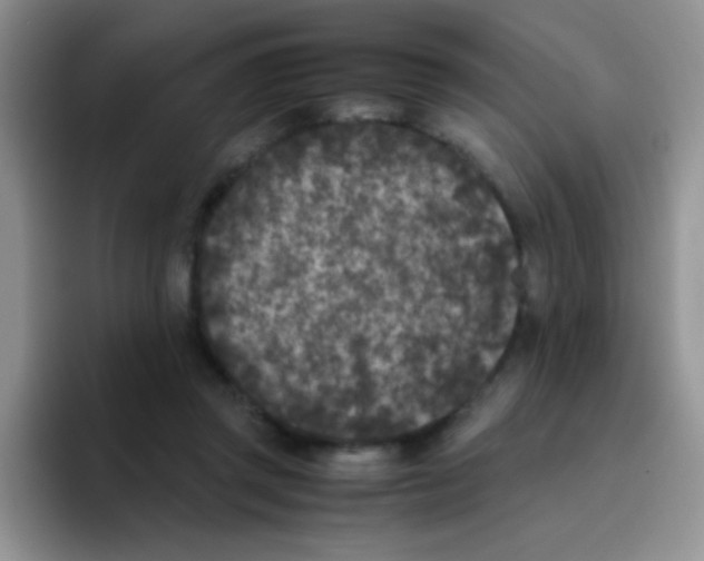 X0000095910357200802081057