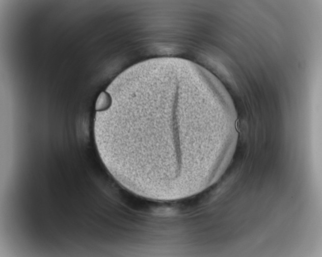 X0000095910358200802081057