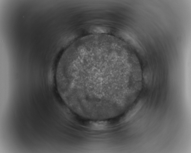 X0000095910359200802081058